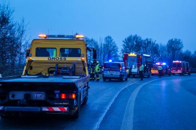 A81/Moeglingen: Golf rast im Abfahrtsbereich in ein Gebuesch
